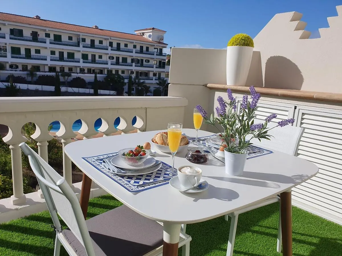 Luxury Apartment, Comfort And Relax, Views Of The Pool Puerto de la Cruz  Puerto de la Cruz (Tenerife)